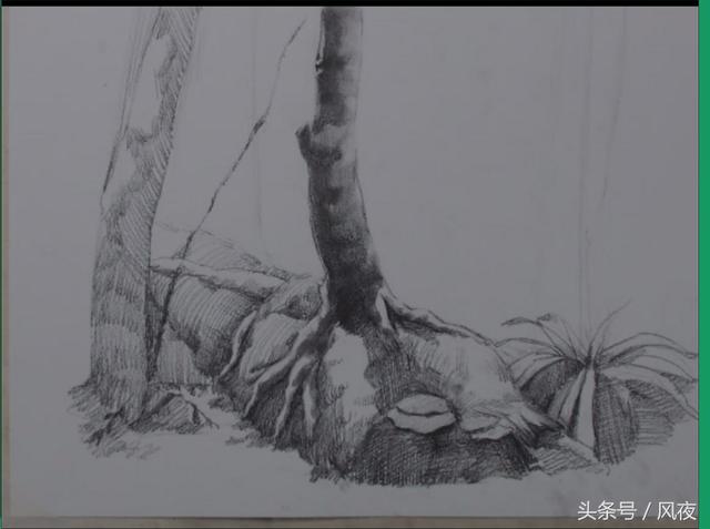 素描画风景,教你如何分辨画面的黑白灰,你学会了吗?