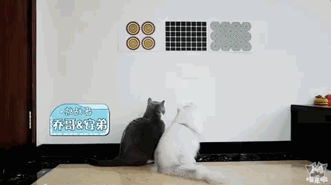 480_268gif 动态图 动图
