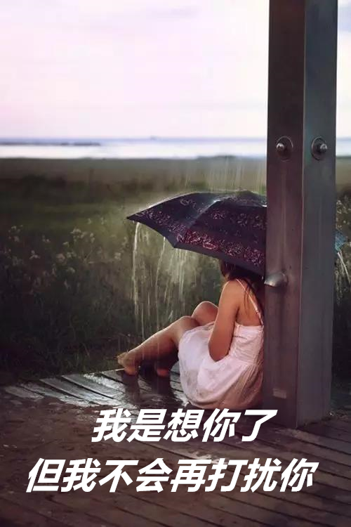 想你,但我不会再打扰你