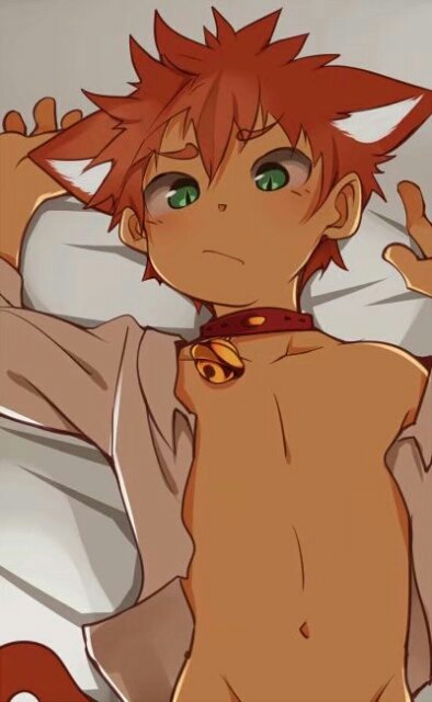 【furry图片转载】兽太的代表物:猫哥