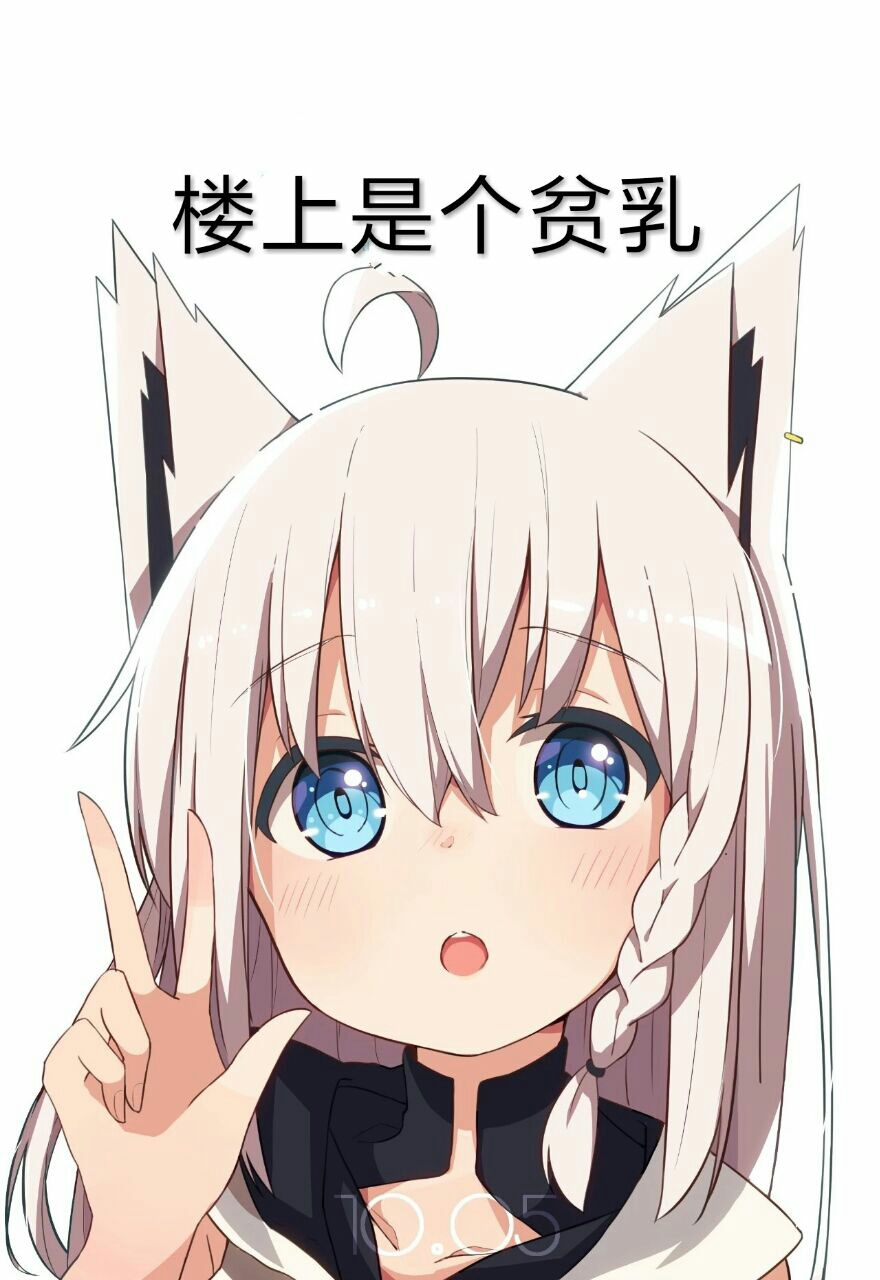 狐狸警告(白上吹雪表情包)