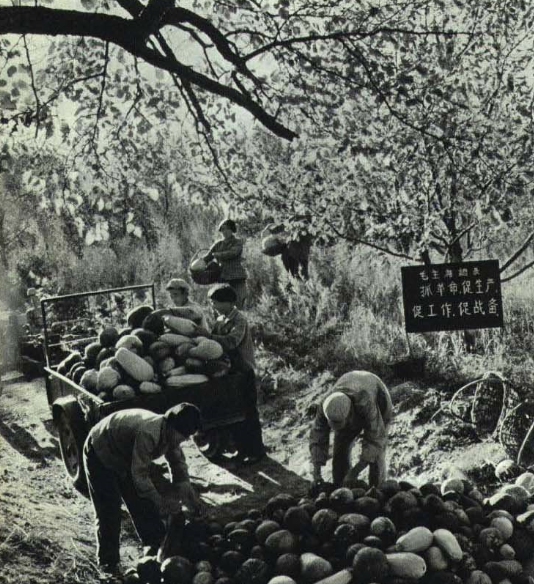 老照片 60年代艰苦奋斗的吉林长春榆树县老乡