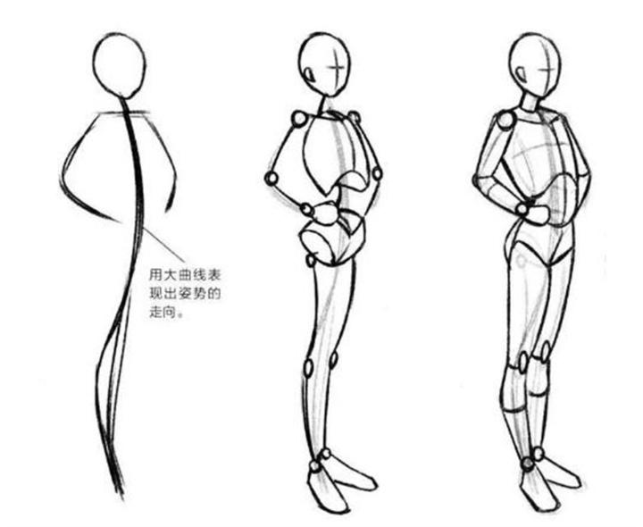 范芳医生谈人体线条美