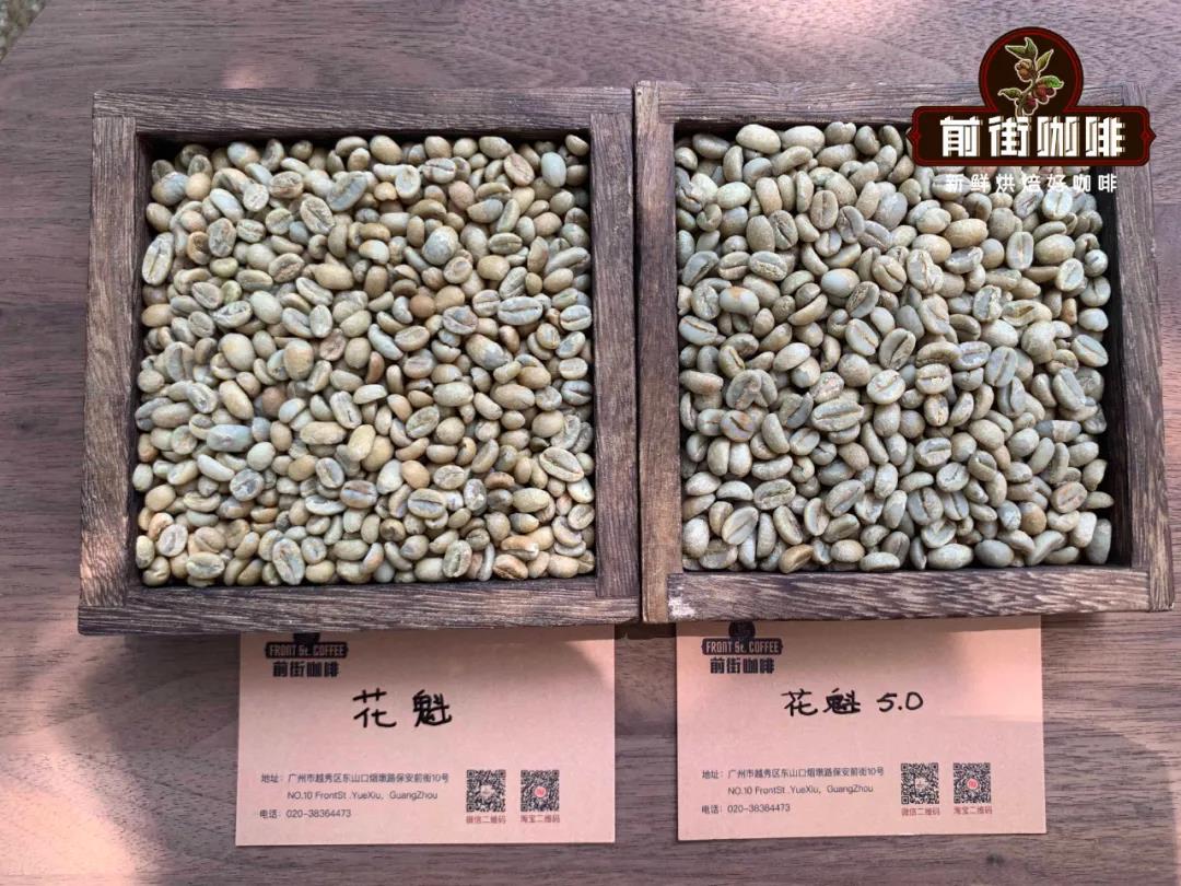 为什么埃塞俄比亚花魁咖啡豆每年风味都不一样正宗的花魁咖啡豆风味