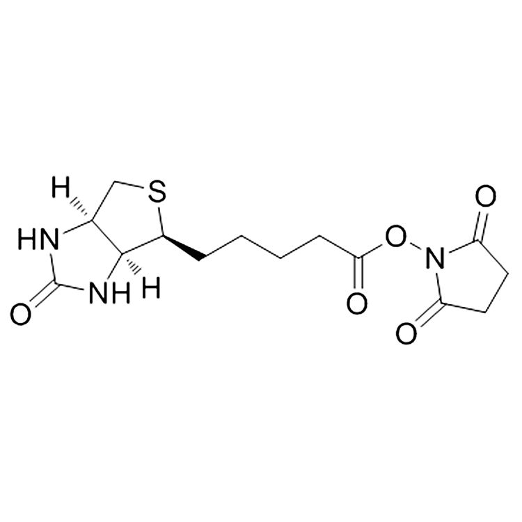 Biotin Nhs Cas