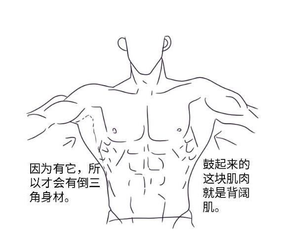 一定要把持住啊!男性腹肌怎么画?看完这篇本瞬间掌握!