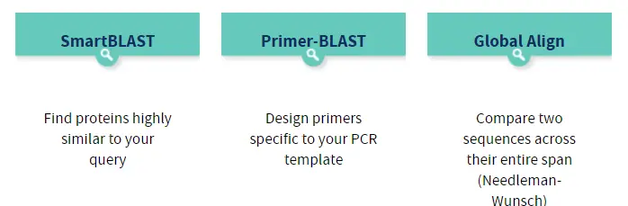 在BLAST工具中，blastn与blastp程序有何不同？