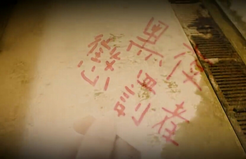 蓝成霖:内鬼→被抓→绑架展耀→被小马哥击毙6.