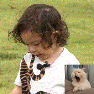 超人回来e297e247e248猪猪表情包gif