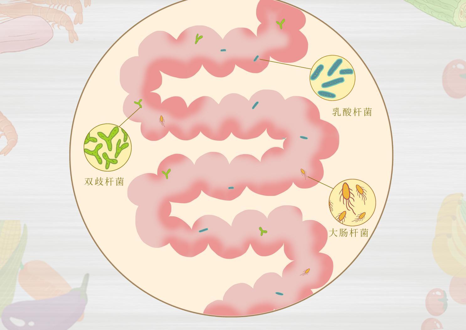 给老人送礼送什么,成人益生菌的作用与功效先做做功课吧