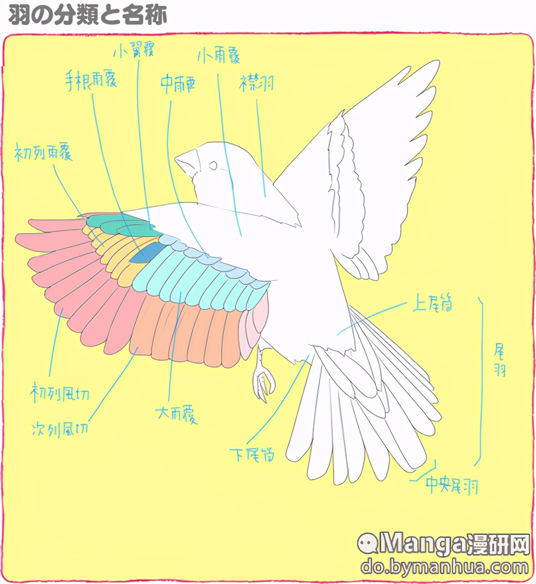 没有必要把每个部位名字都记住,和这个分类一样