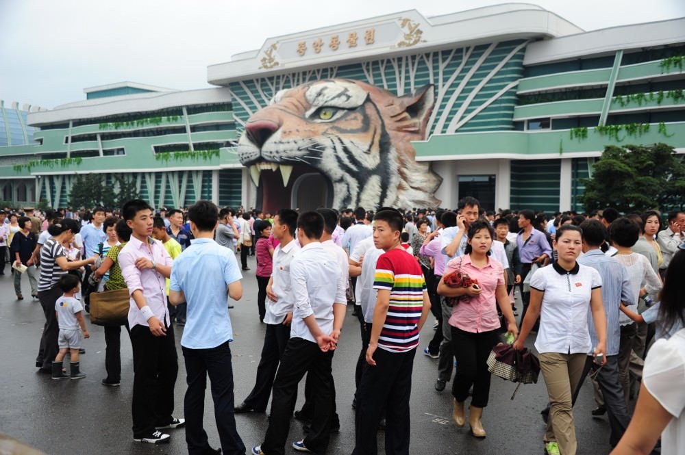 这次是老虎国内动物园发生的猎奇近况