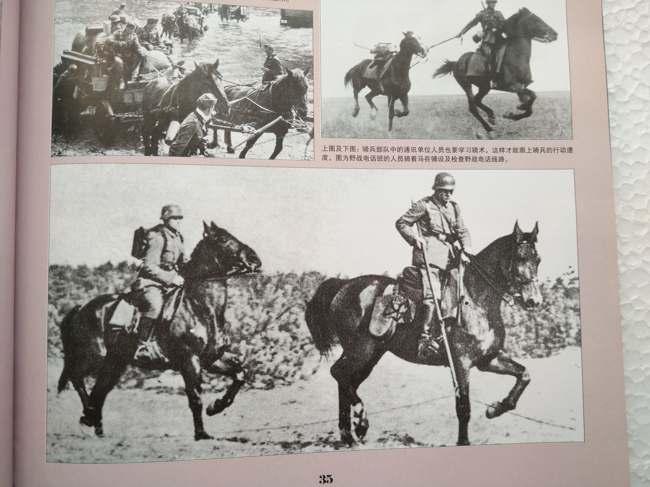 劲蹄骋沙场—二战德国骑兵部队的发展与作战