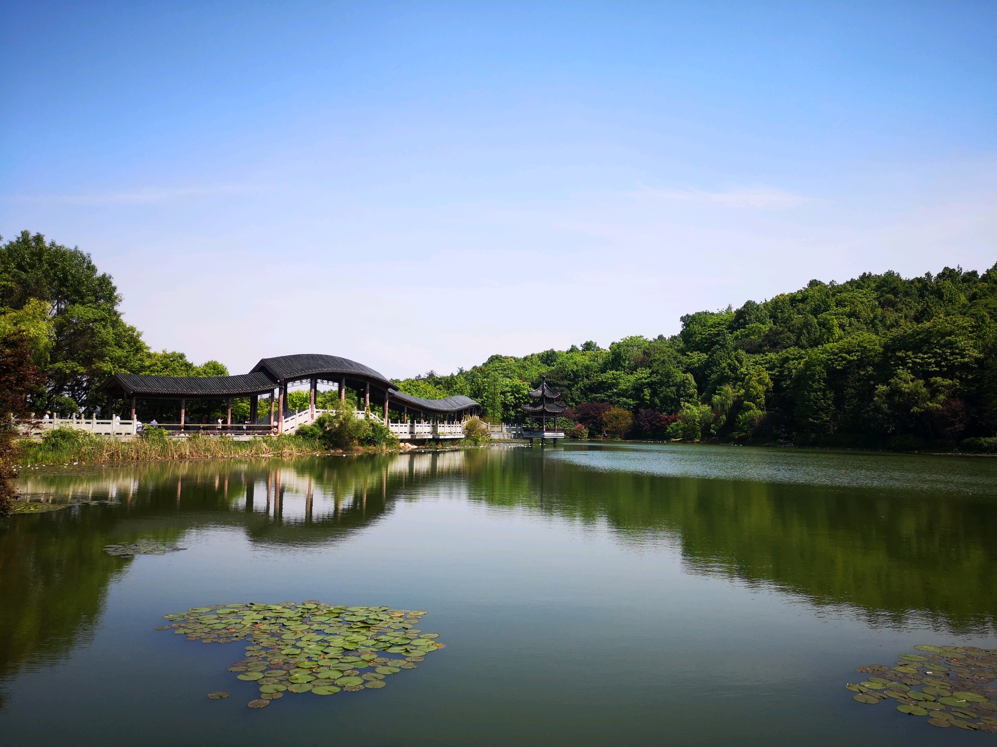 岳麓山景区内的穿石坡湖