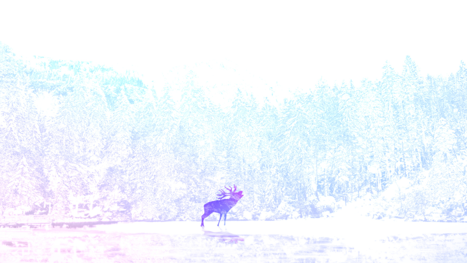 0d47506133528e3851dfd76e2602467cf3eefa85.png