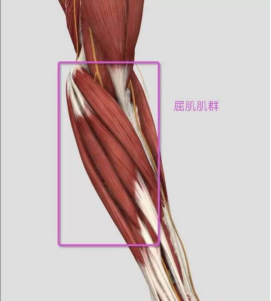 如何正确使用筋膜枪放松小腿肌肉 0d4c9a71ffdedd5e08e3be151923156440ed18e9.png