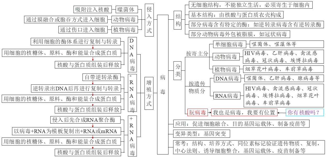 病毒的思维导图