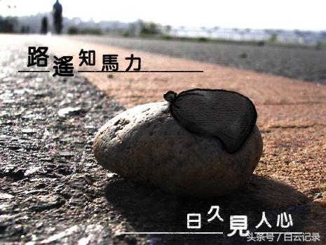 路遥知马力,日久见人心