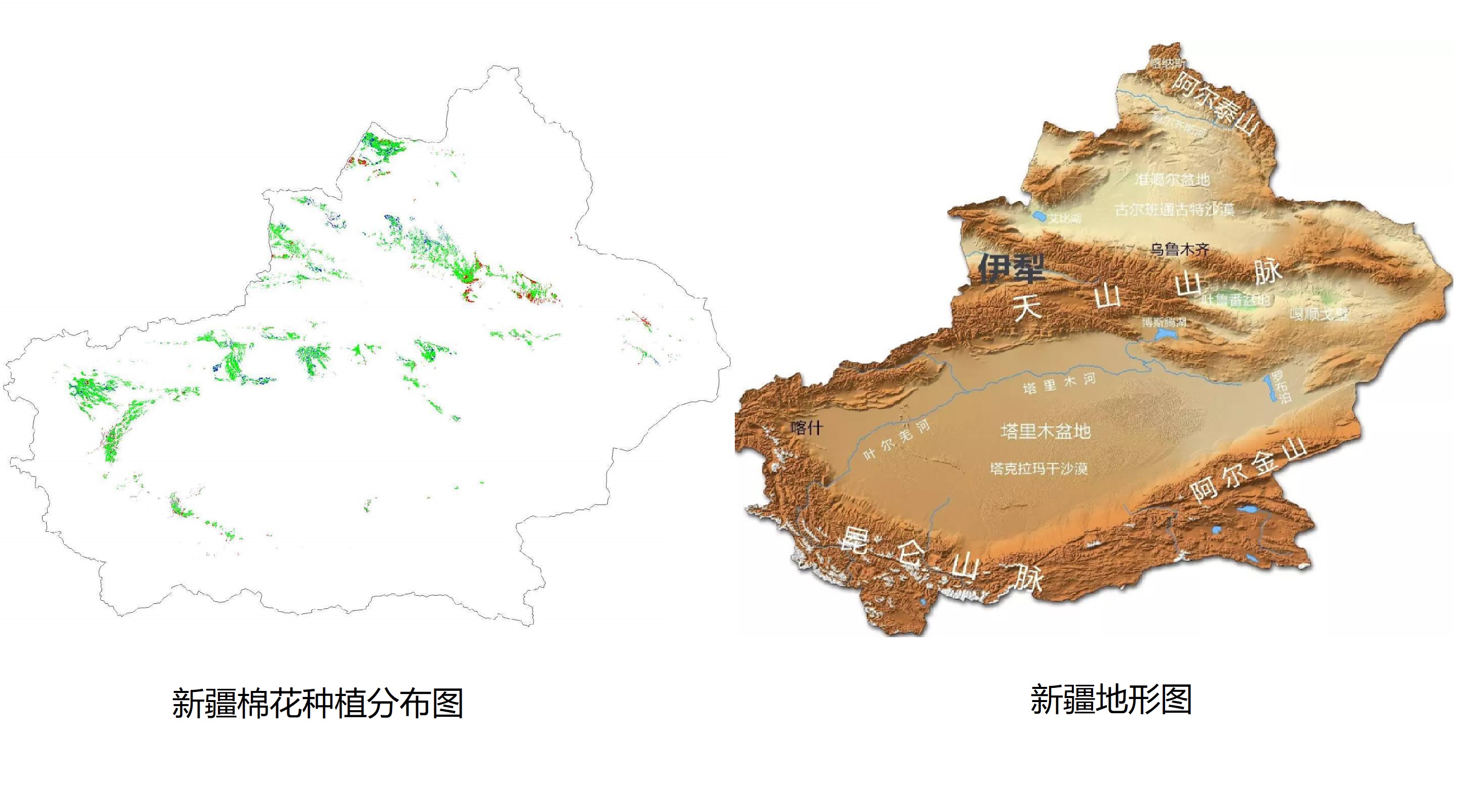 新疆棉花种植分布图和新疆地形图