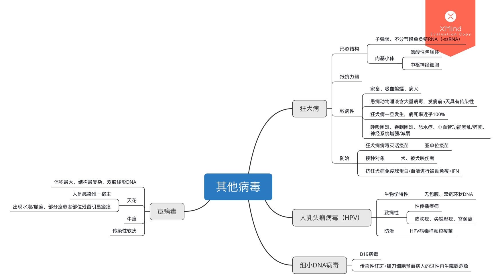 医学微生物思维导图一