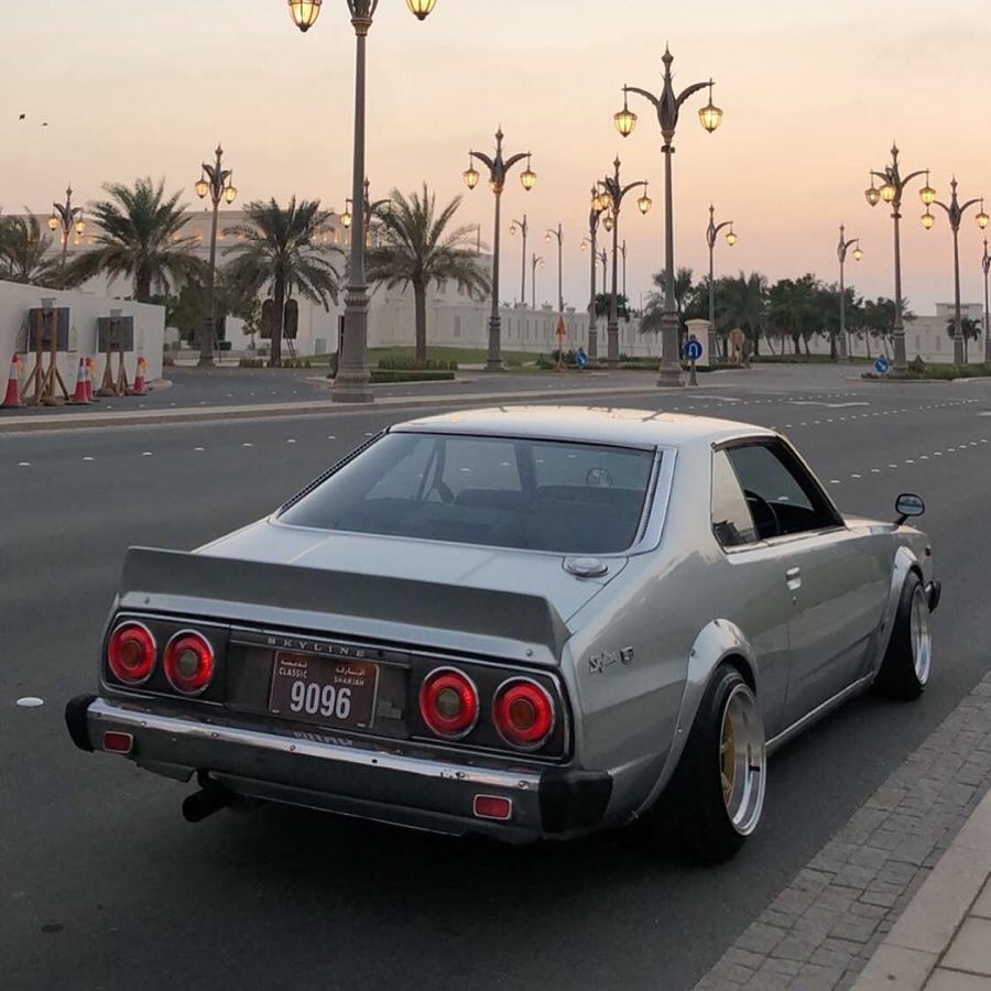 skyline c210