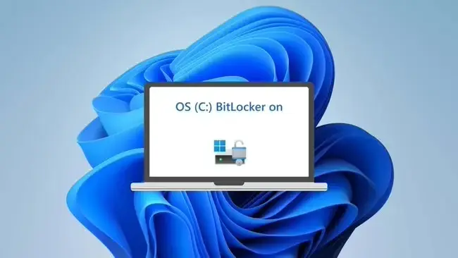 如何在Windows 11系统中启用硬盘加密功能？