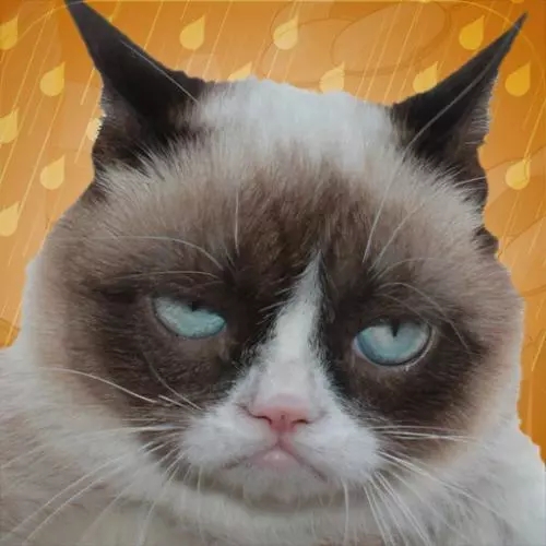 五个字的动物名字 0f0a40bba76574759e4c69e67b8cee7f44b94ca9.jpg