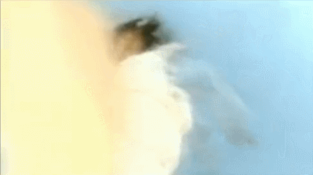 440_246 gif 动态图 动图