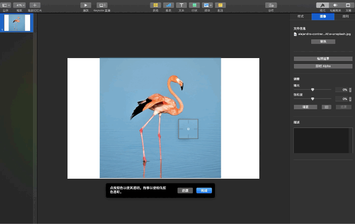demonstration of cutout