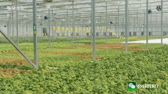 560_315gif 动态图 动图