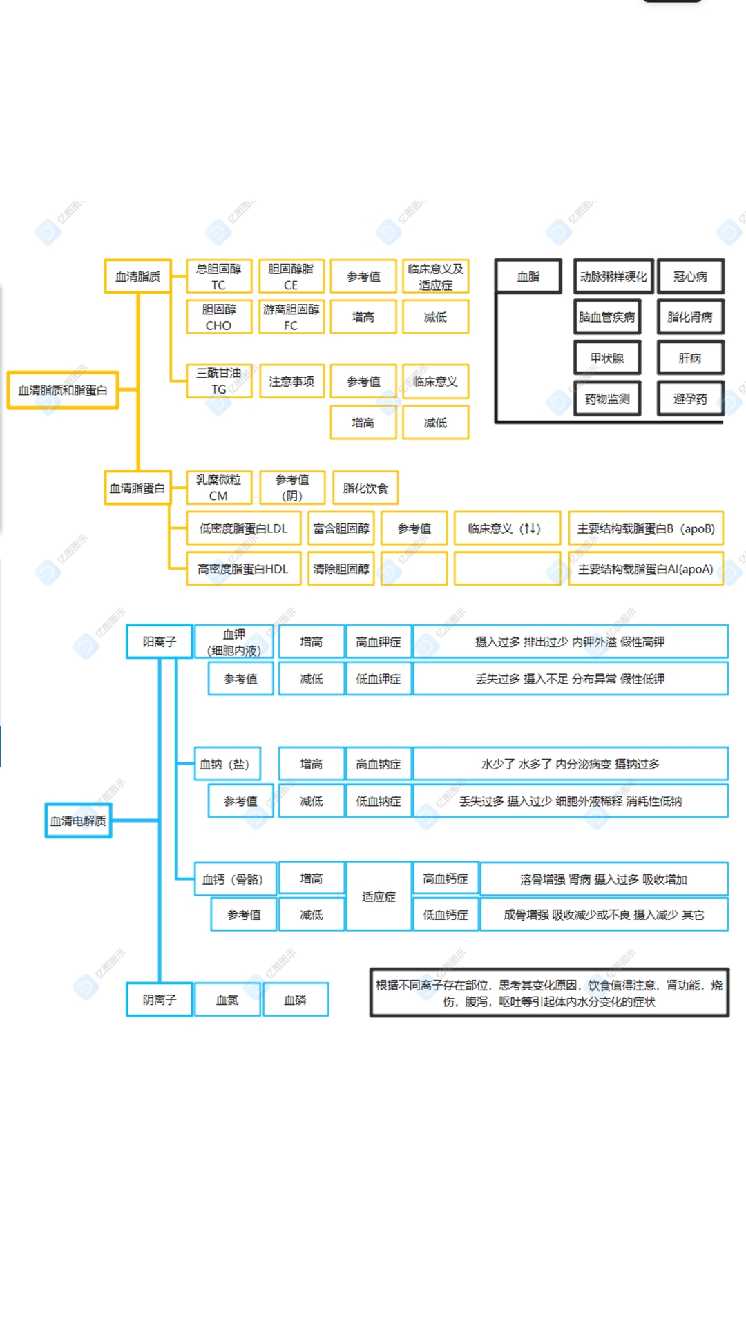 诊断学思维导图部分