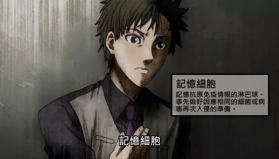 肥大细胞