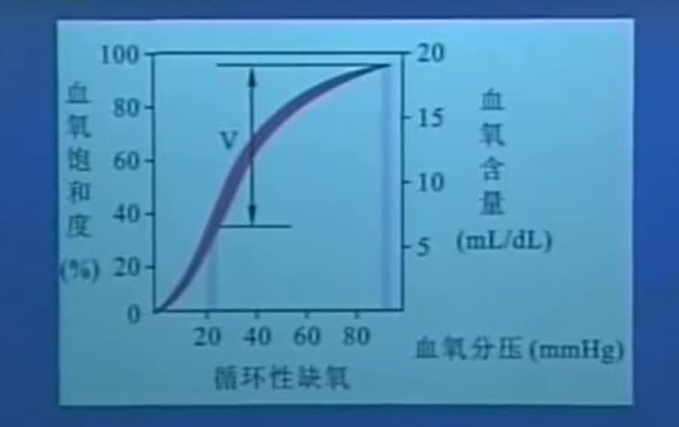 氧分压正常、血氧饱和度正常、血氧最大容量正常、血氧含量正常、动静脉