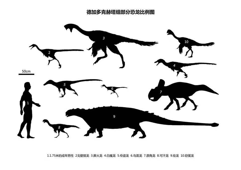 科普伶盗龙velociraptor你究竟是谁