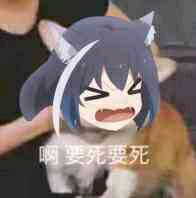 二次元常用表情包第九期