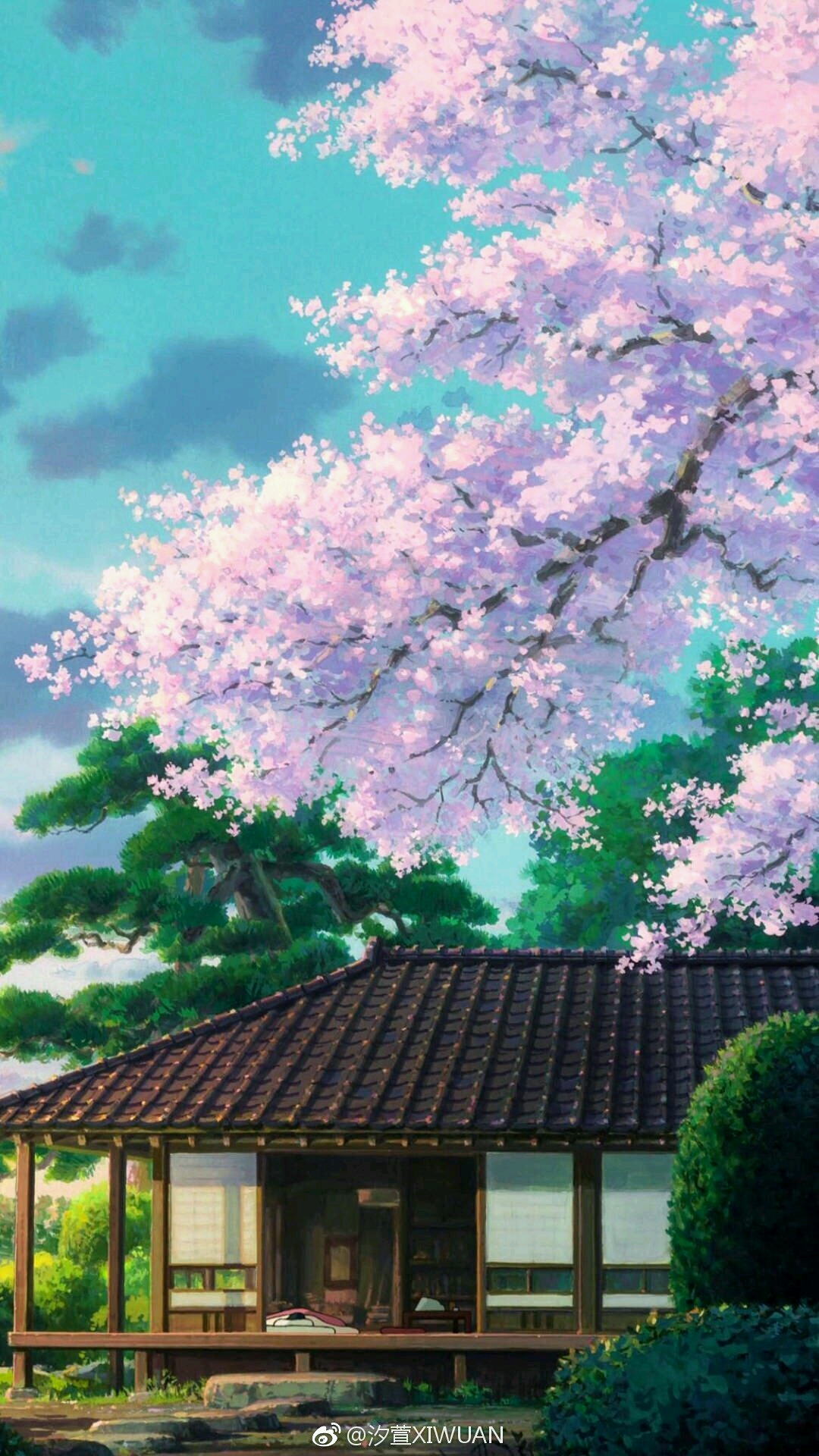 唯美樱花背景壁纸图