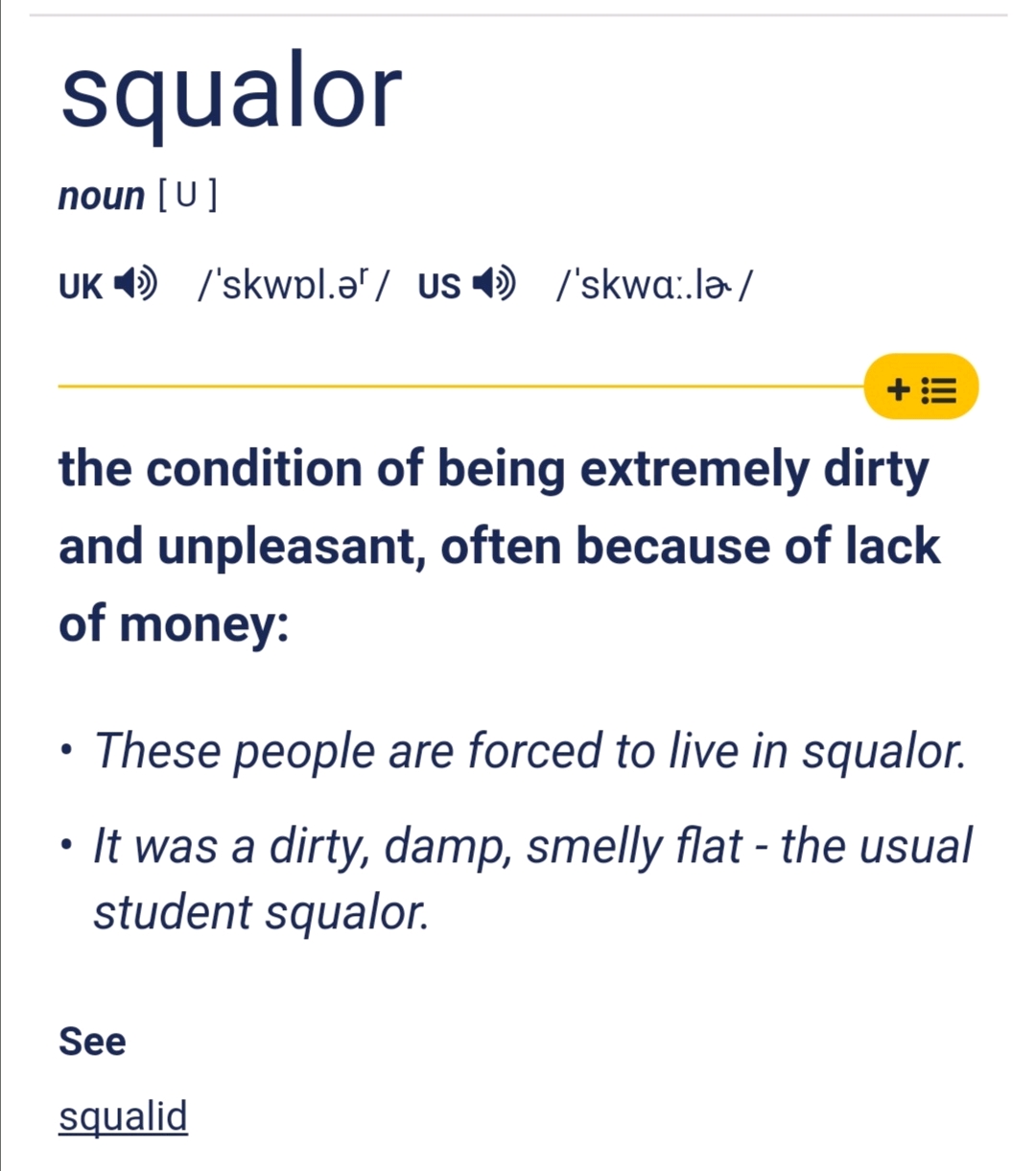 squalor 肮脏,贫穷;squalid肮脏的,污秽的,卑鄙的