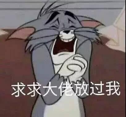 哈哈哈哈哈哈哈哈哈哈哈哈哈 up后                    老鼠的表情包