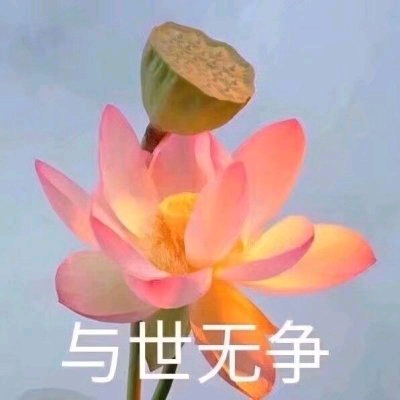 能够混进家长群的比较成熟的头像 鲜艳的花朵可是深受中老年人喜欢呢