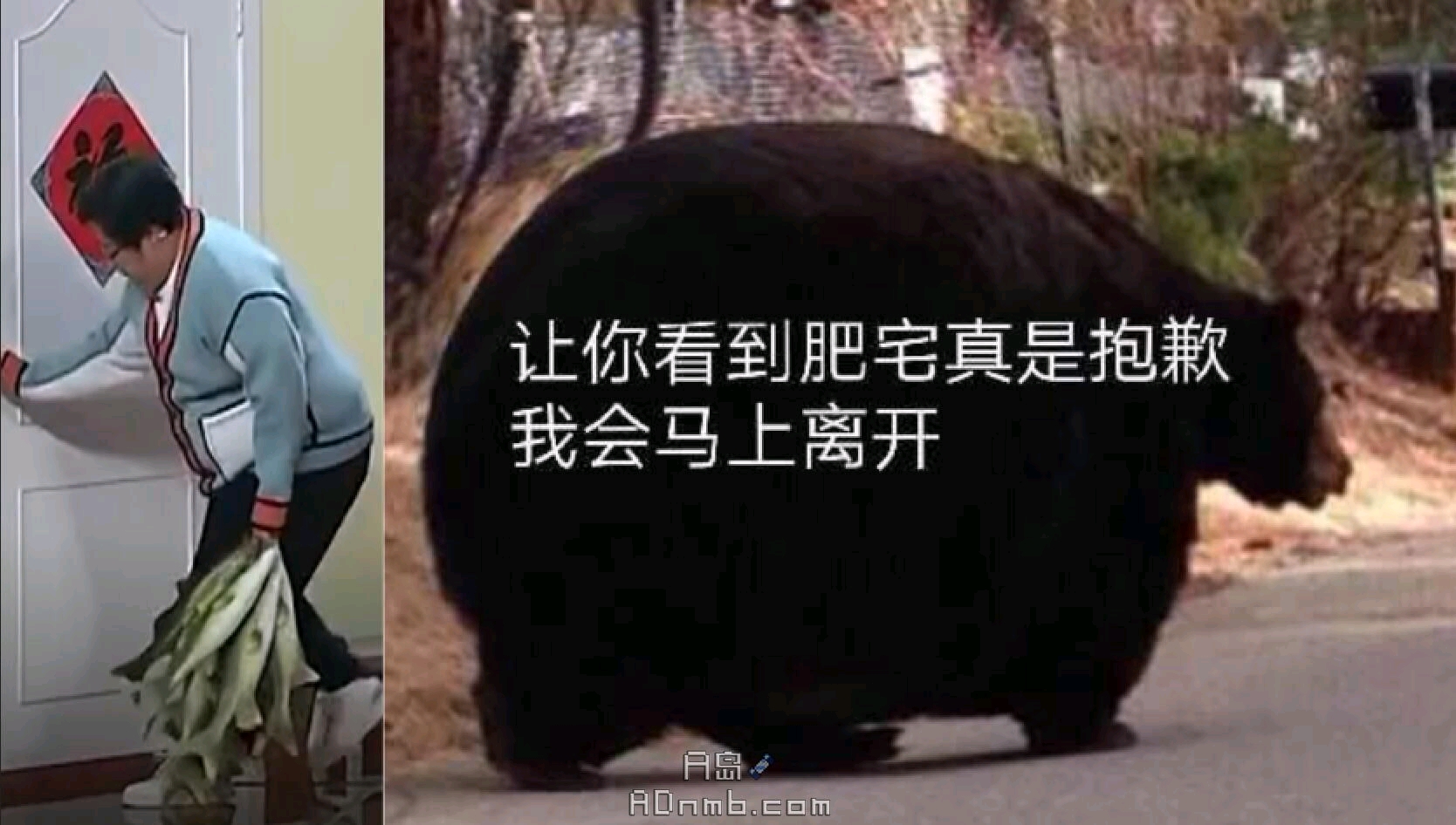网上搜集的2021春晚梗图