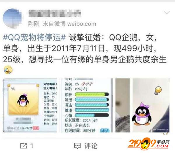 QQ宠物宣布“官方死亡”！网友炸了：和初恋的Q宠还没解除婚约呢