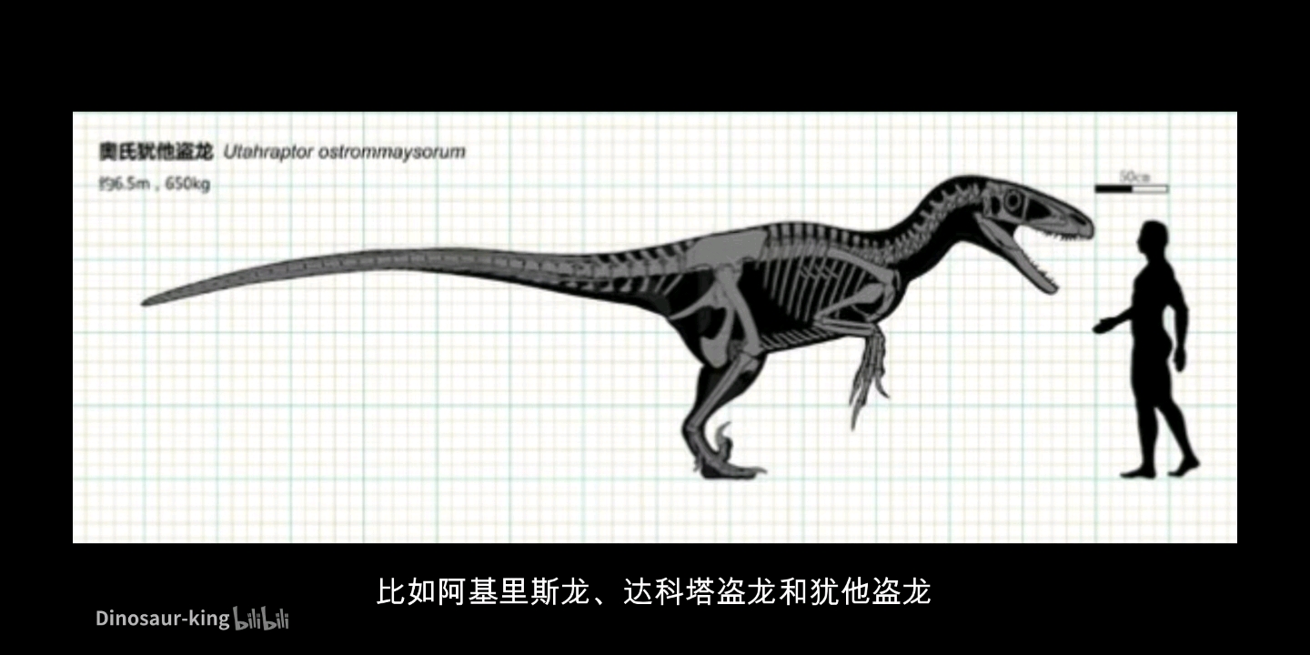 驰龙科中的究极大长腿达科塔盗龙