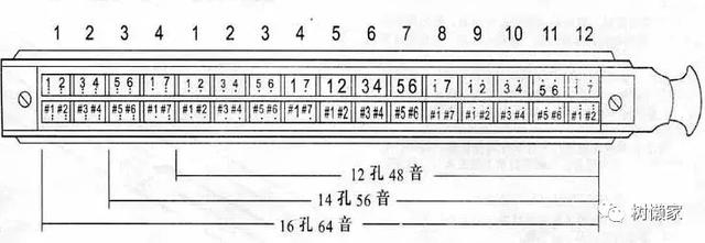 半音阶10孔24孔复音口琴音阶排列大全