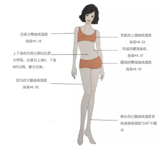1,女性的上下身的比例以肚脐为分界线,上下的比例约为5:8,这样的比例