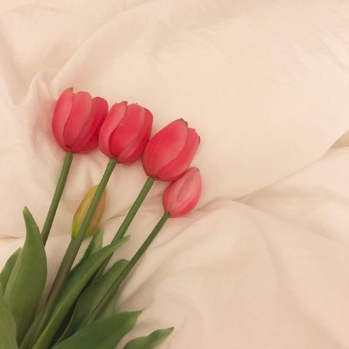 中秋节祝福语12句,中秋节祝福语12句秋节图片