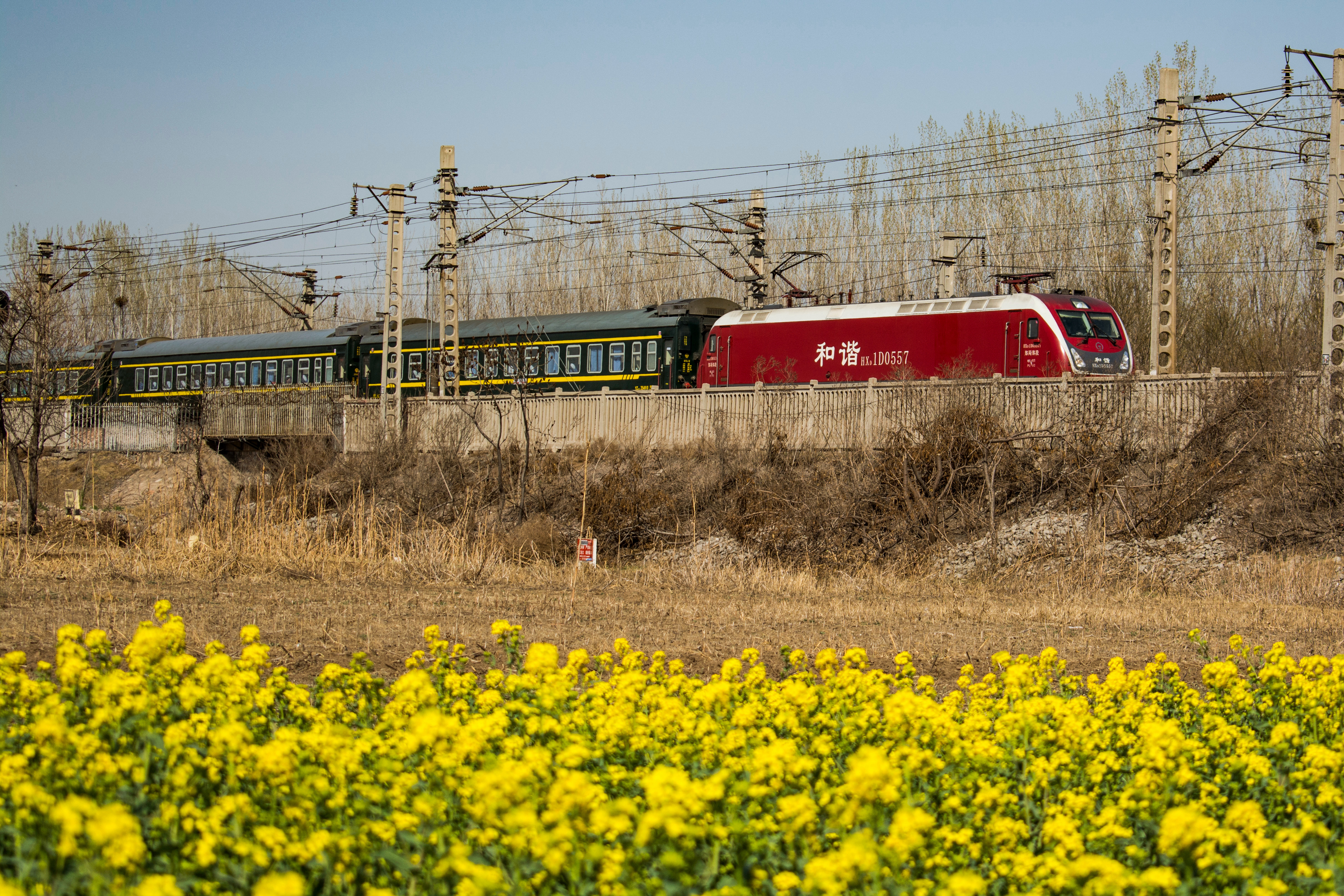 京广下行 hxd1d 0557 郑局郑段 牵引k233