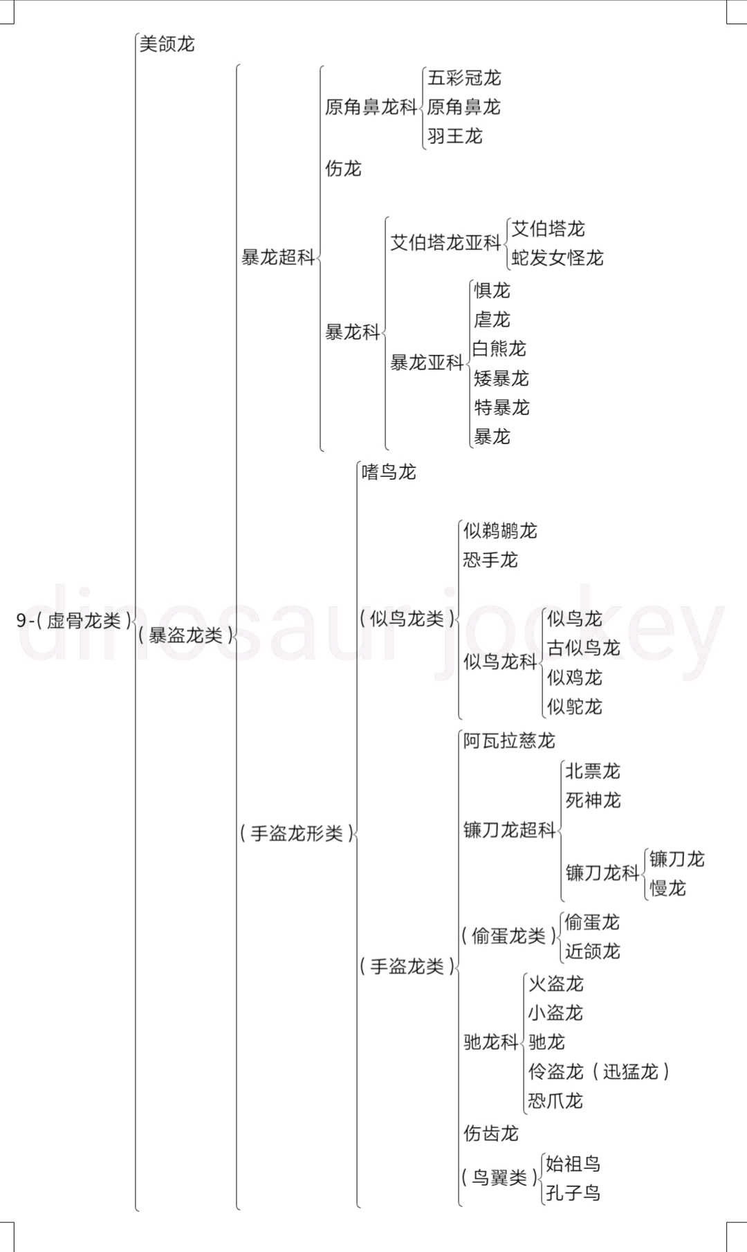 自制恐龙分类图