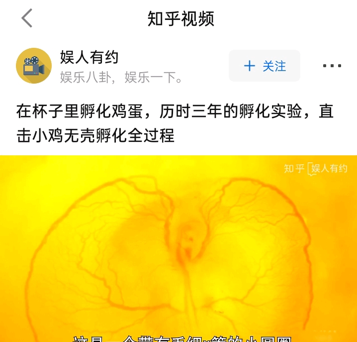 生命的意义究竟是什么小视频 15b48032dcb7f1a8275269f1103783123aa2b65c.jpg