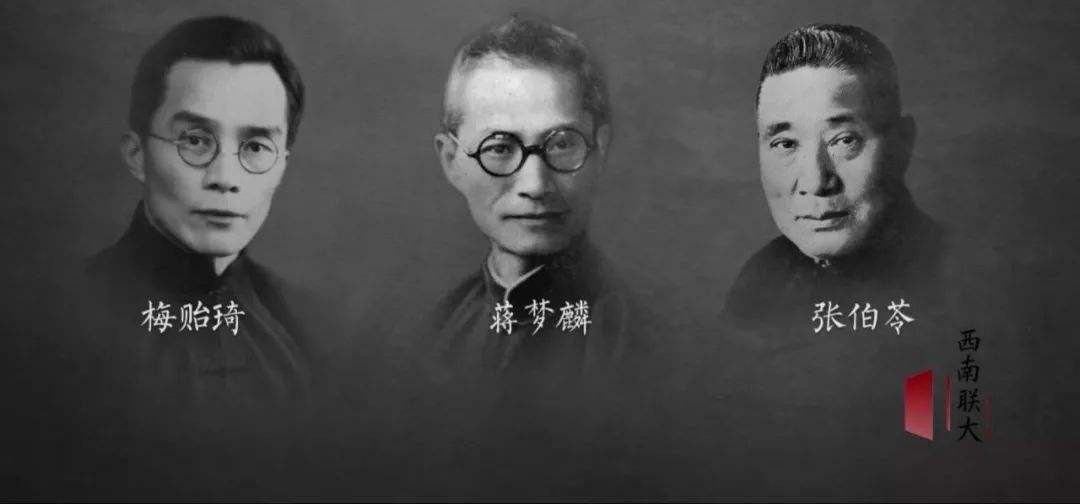 纪录片《西南联大》丨大学学风应如是!清华北大的"瑰宝"全在这里!