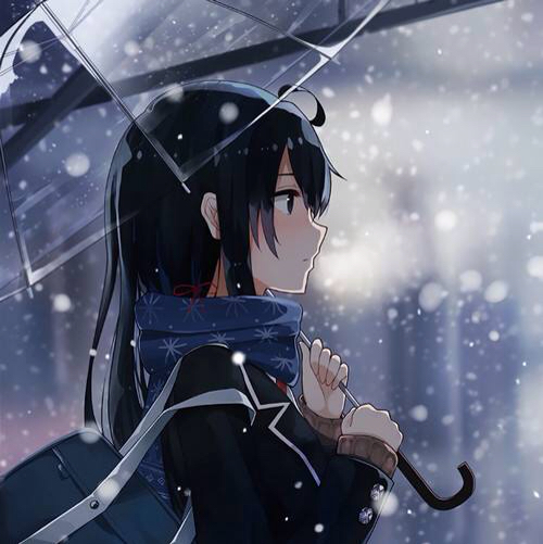 雪之下雪乃语录 高清壁纸